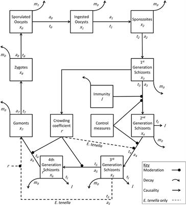 Revisiting the Economic Impacts of Eimeria and Its Control in European Intensive Broiler Systems With a Recursive Modeling Approach